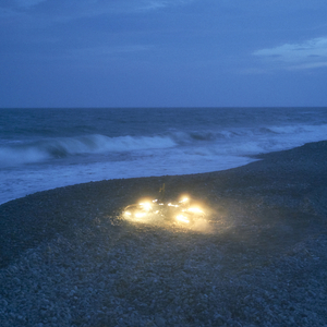 日本孕妇妊娠大肚子
